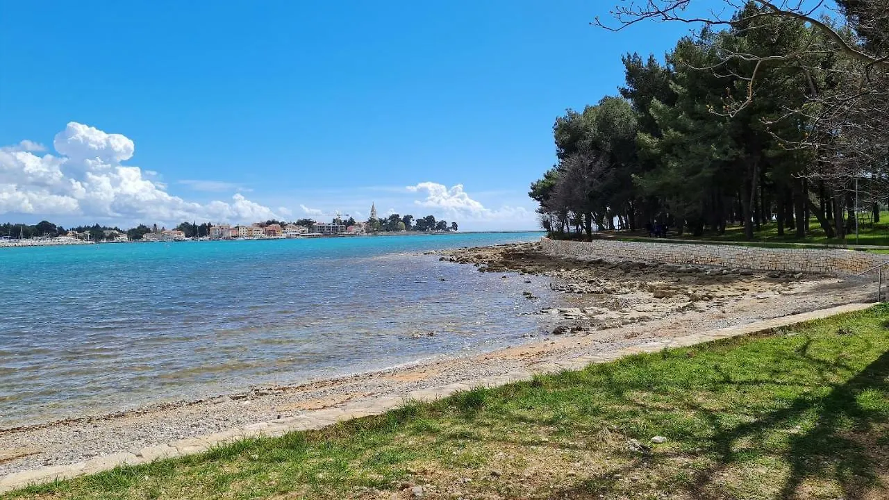 Apartments Kivi Novigrad