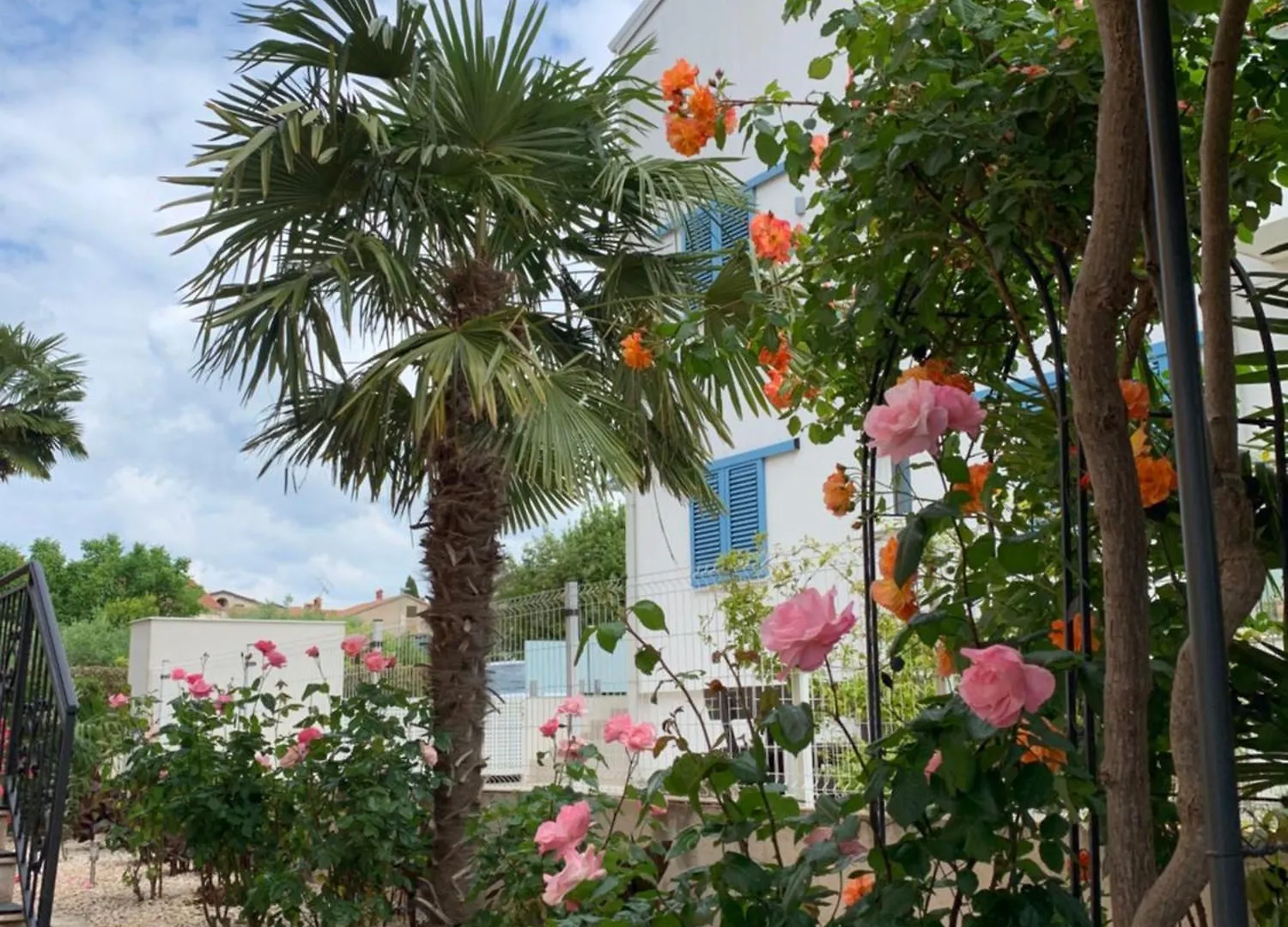 Apartments Kivi Novigrad  0*, Novigrad (Istria)