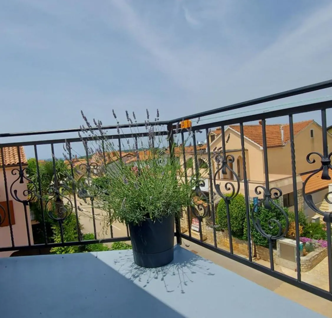 Apartments Kivi Novigrad  Novigrad (Istria)