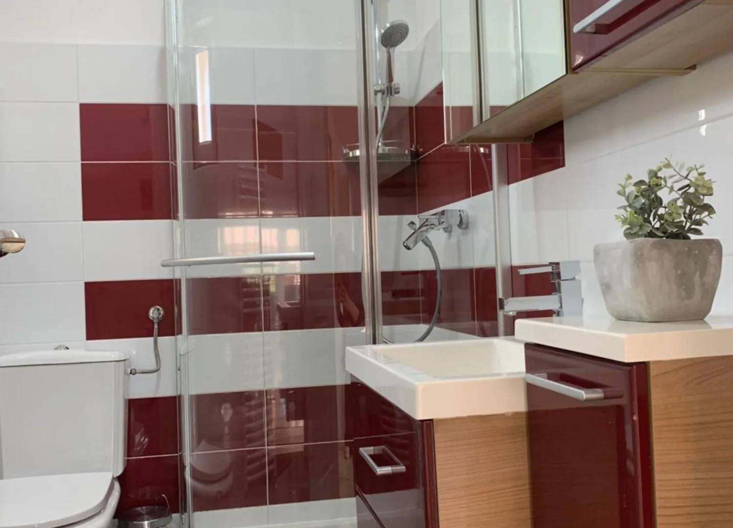 Apartments Kivi Novigrad