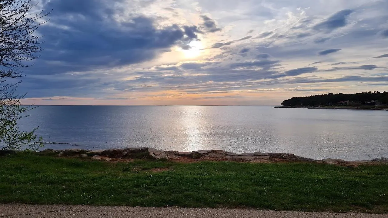 Apartments Kivi Novigrad  0*, Novigrad (Istria) Croatia